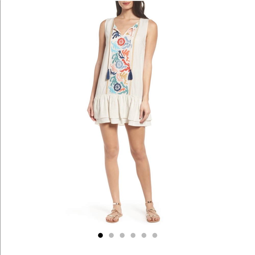 Never Worn Embroidered Drop Waist Dress